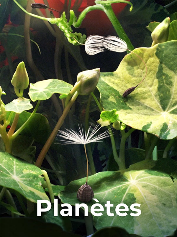 Planète