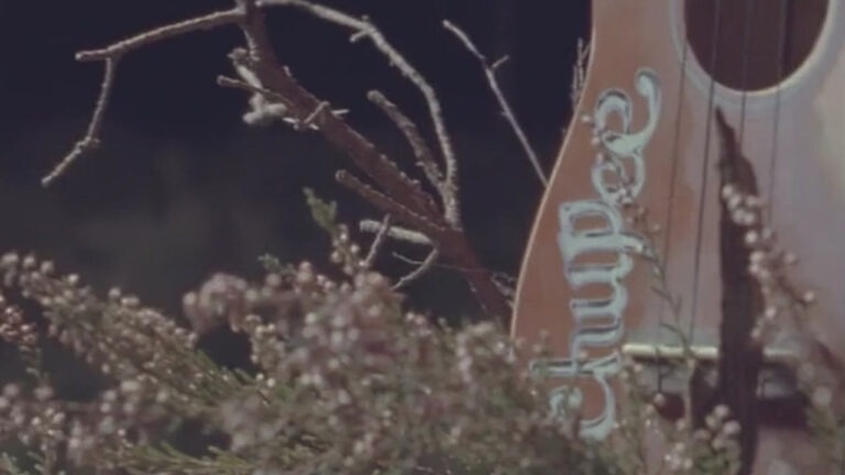 Chupee – Cocoon